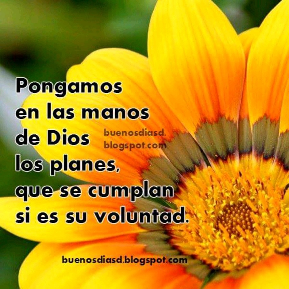 Meet your Posher, Gladys